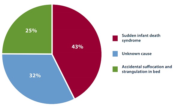 Sids Risk Chart