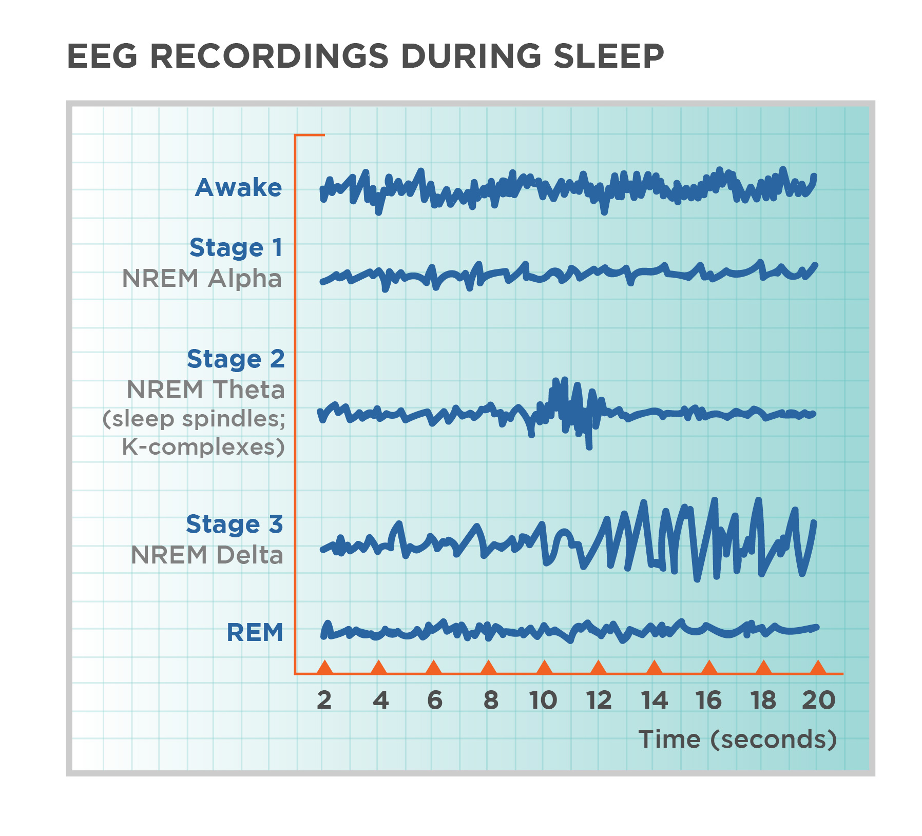 Sleep Wake Time Chart