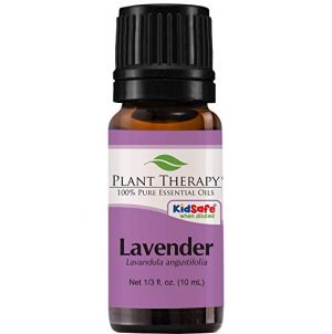 Best Overall - Lavender Oil (Plant Therapy)