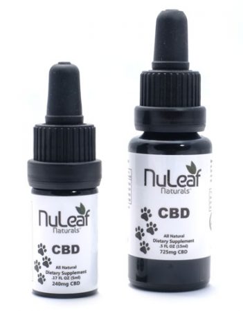 A Guide To Using CBD Oil