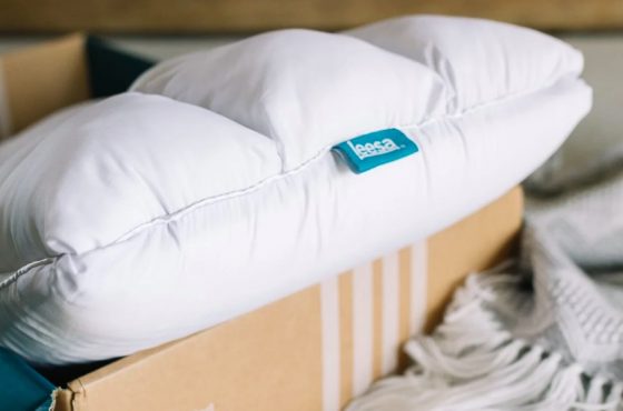 leesa pillows review