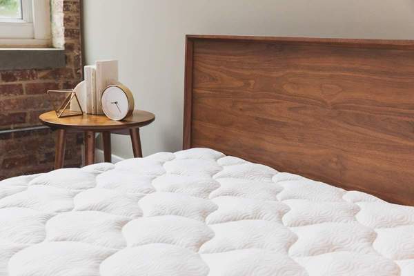 ViscoSoft Mattress Pad