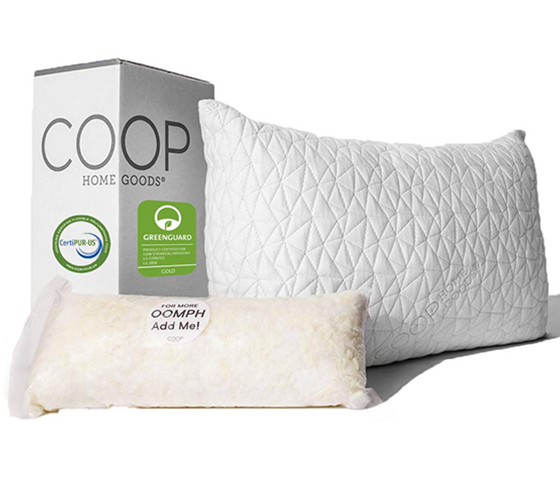 Unbiased Coop Home Goods Pillow Reviews 