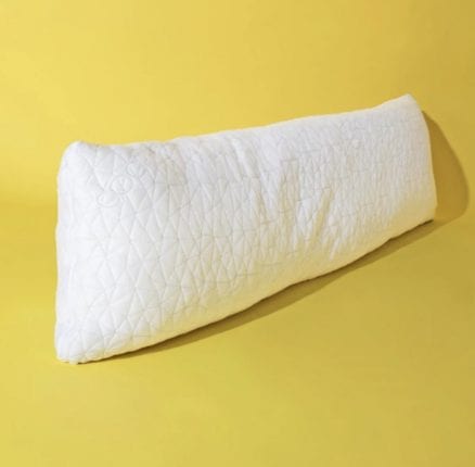 Best Value – Coop Home Goods Body Pillow