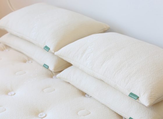 Avocado Pillow Review