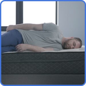 Bear Hybrid Heavyweight