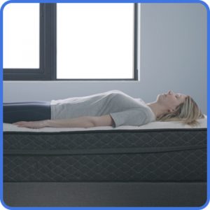 Bear Hybrid Lightweight