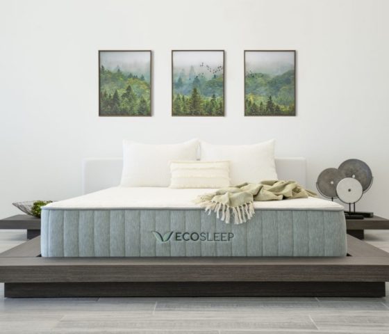 EcoSleep Mattress Review 2022 Tuck Sleep