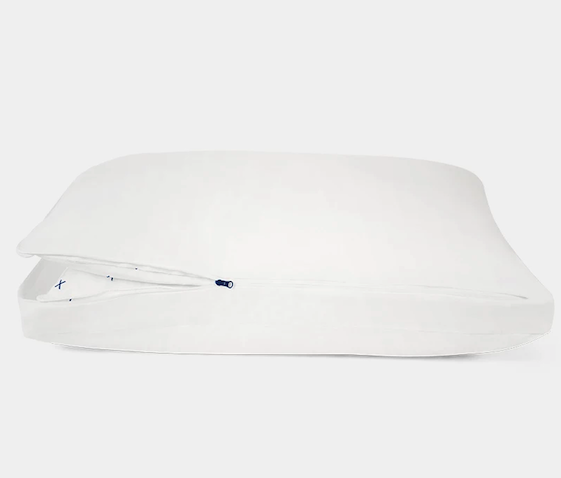 best pillow for back pain