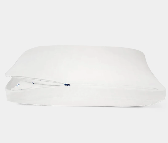 s pillow for back pain