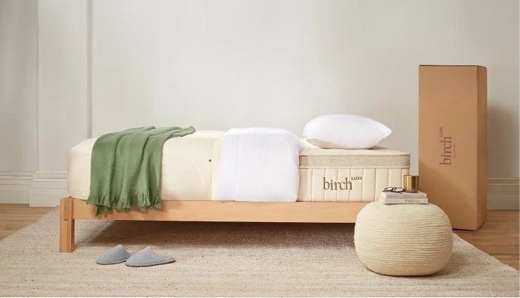 Best Luxury – Birch Luxe